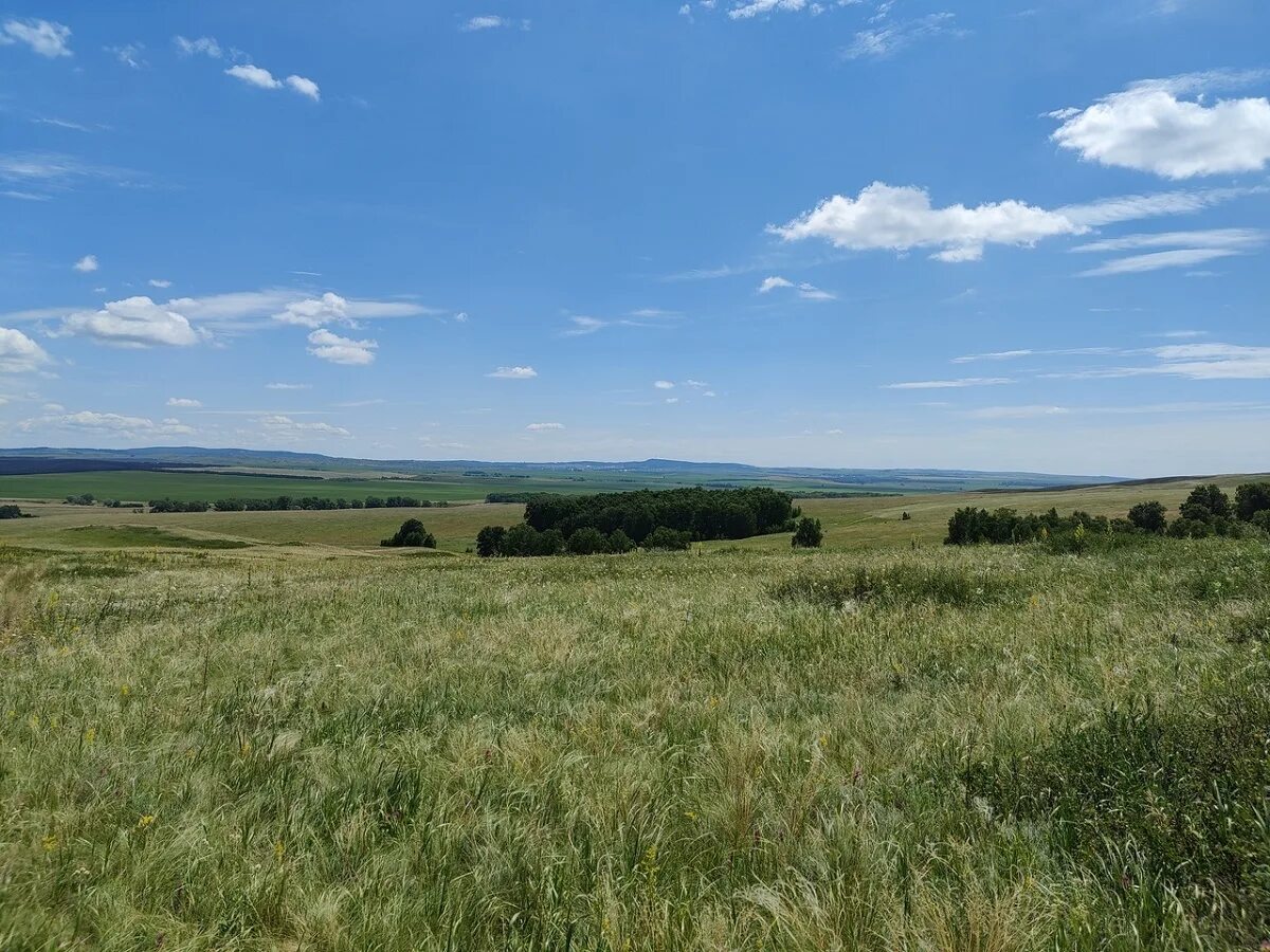 Оренбуржье фото. Оренбургская область. Оренбуржье. Степи Оренбургской области. Лето в Оренбургской области.