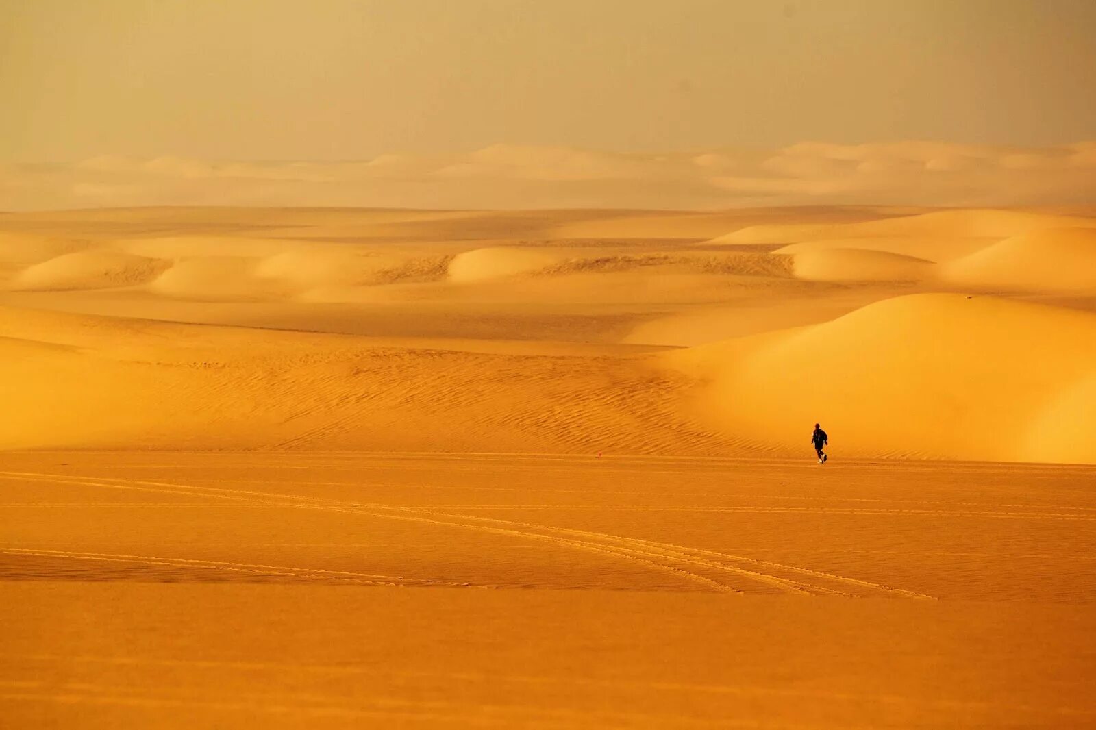 Пустыня са=хара. Пустынный цвет. Пустыня эстетика. Тардрат аракус пустыня. Пустыни: большой нефуд, гоби, каракумы, руб-эль-хали, такла-макан, тар.