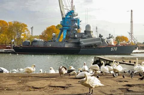 Авито балтийск