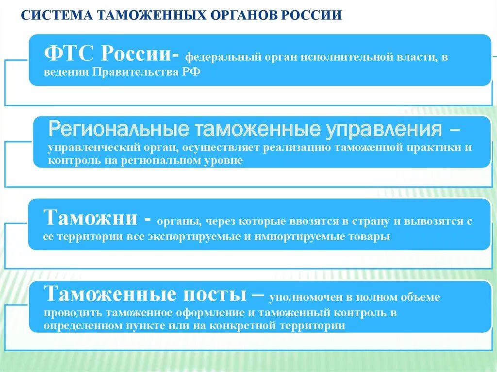 Таможенные и налоговые органы осуществляют. Система таможенных органов РФ ФТС. Система органов ФТС. Таможенная структура. Систем атможенныхорагнов России.