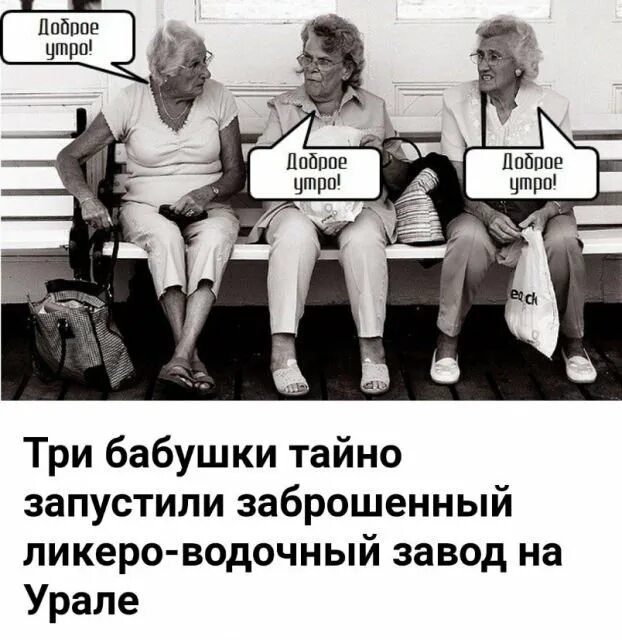 Доброе утро пенсионерам картинки. Прикольные бабки с добрым утром. доброе утро пенсионерка. доброе утро старушки прикольные. доброе утро бабульки.