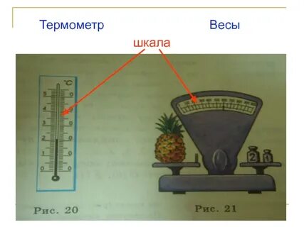 Шкала массы