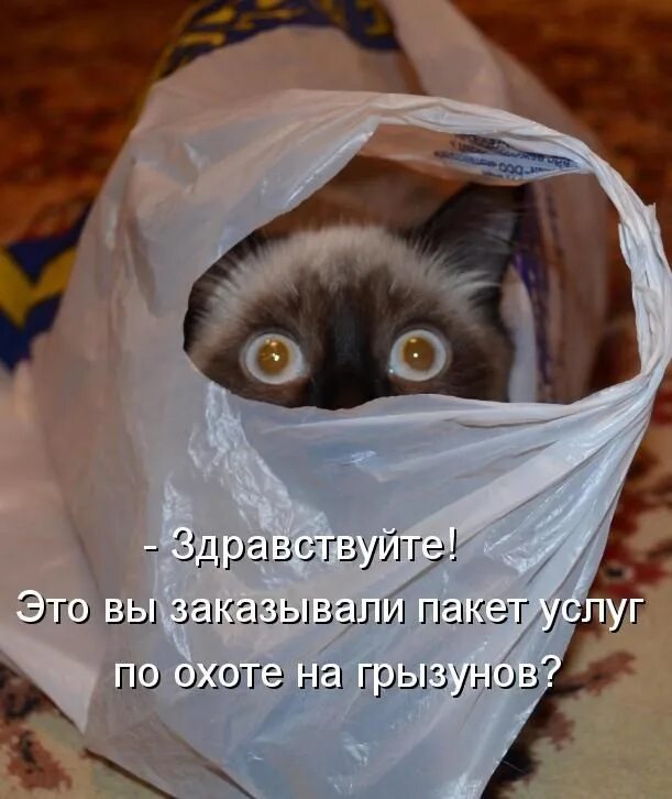 Что закажешь то и получишь