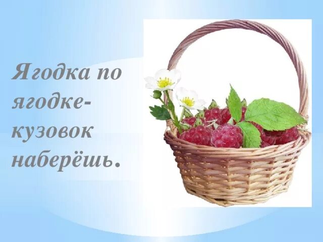 Собирай по ягодке найдешь кузовок. Собирай поо ягодке наберешь кузов. Собери по ягодке наберешь кузовок. Собирай по ягодке наберешь кузовок иллюстрация. Рисунок к рассказу собирай по ягодке наберешь кузовок.