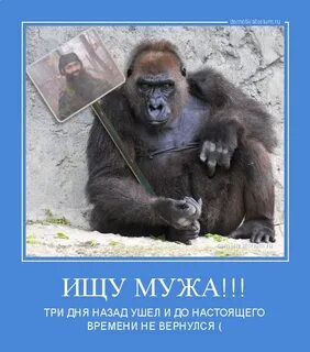 Обезьяна со словами