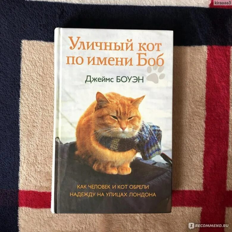 Книга про боба. Боуэн Дж уличный кот по имени Боб. Книга \Боуэн д. "уличный кот по имени Боб. Рыжий кот по имени Боб книга.