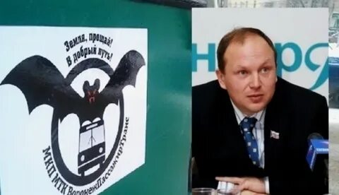 Политика готов