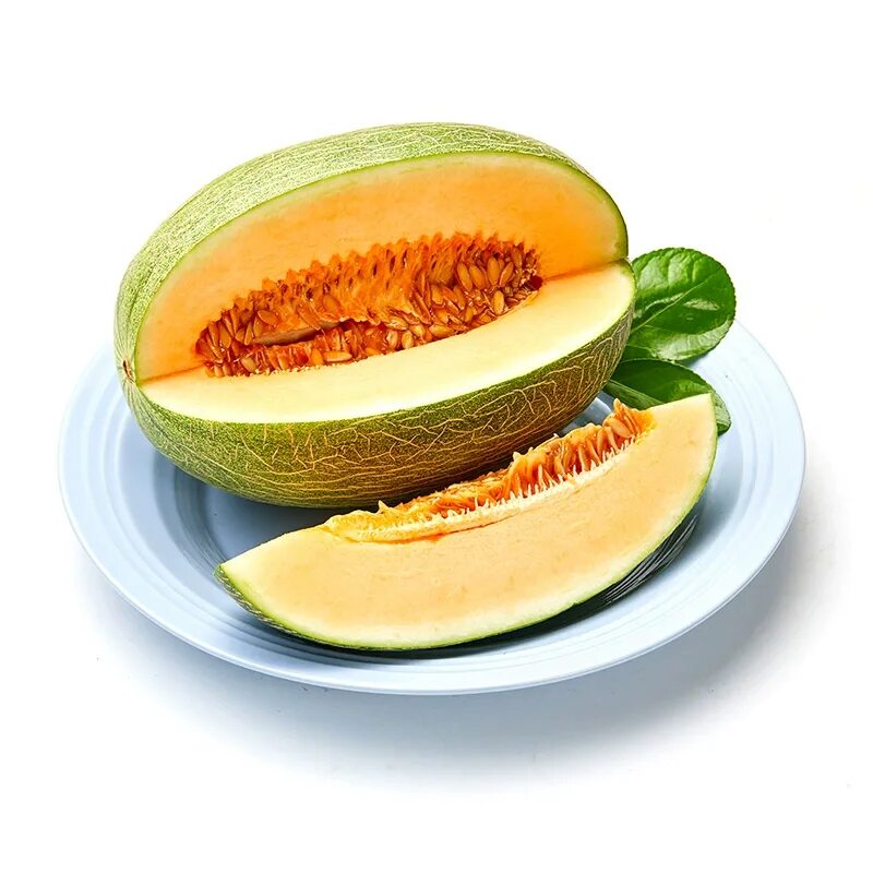 Установить melon