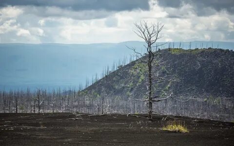 Козыревск камчатский