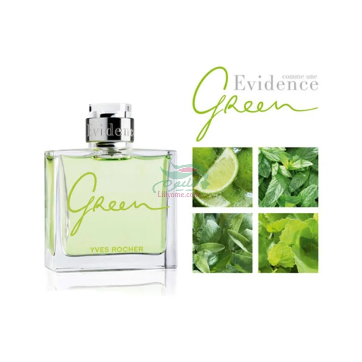 Роше туалетная вода мужская. Мужская туалетная вода Ив Роше Green. Ив Роше evidence homme Green. Ив Роше туалетная вода Грин мужские. Evidence Yves Rocher мужской.