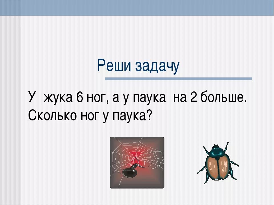 Сколько лапок у 6 жуков. Задачи про пауков. Паук 6 ног. Задание пауки. Задача про Жуков и пауков.