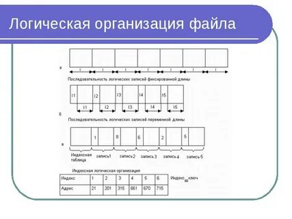 Логическая организация файловой системы