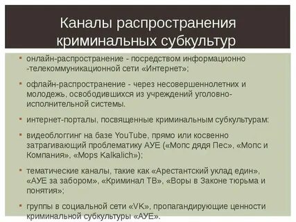 Деструктивные криминальные субкультуры