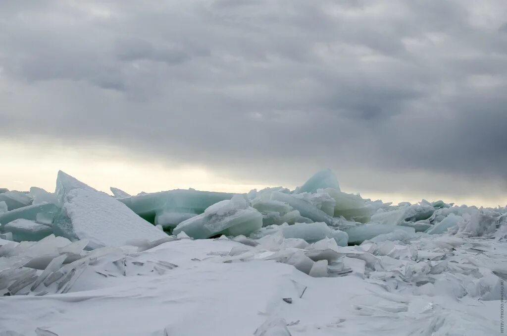Торосы что это. Торосы на финском заливе. Торос лед. Ледяные Торосы в Арктике. Финский залив зимой Торосы.