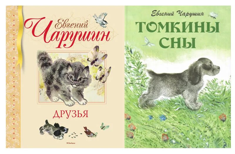 Чарушин книга друзья. Томка читательского дневника