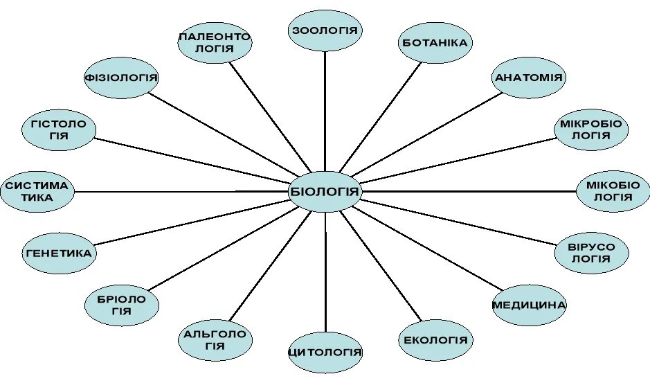 Кластер формы работы с родителями. Кластер работа с родителями в школе. Формы работы с родителями в школе кластер. Родительское собрание кластер. Формы работы год семьи