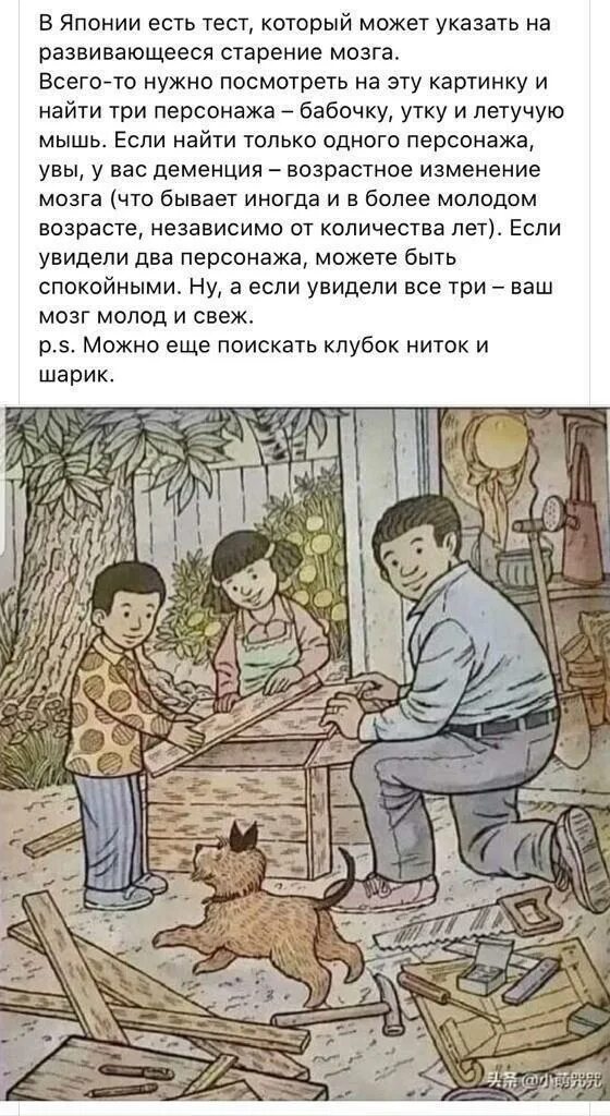 Как писать в утку. Тест на озабоченность утка. Человек утка. Тест найти утку. Найти утку на картинке.