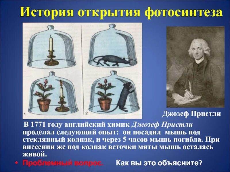 Их опыт. 1771 году английский химик джозеф пристли. джозеф пристли открытие в биологии. джозеф пристли открытие кислорода опыт. джозеф пристли опыт с мышью и растением.