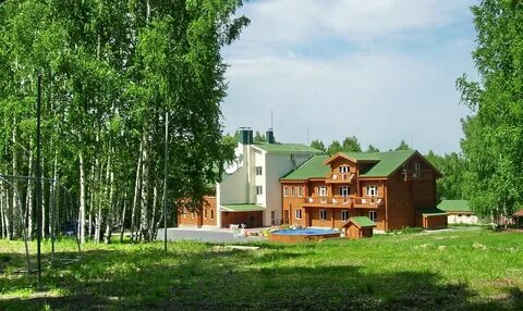 Базой новосибирская область