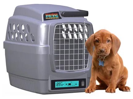 Pet ex