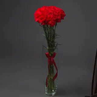 Попал в один букет с гвоздикой