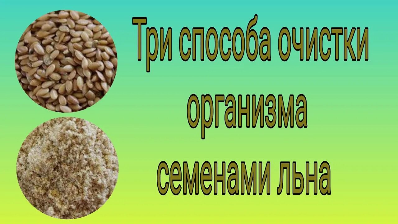 Семена для очистки организма. Семена льна для кишечника. Очистка организма семена льна. Очистка организма от шлаков семенами льна. Очищение организма семенам льна