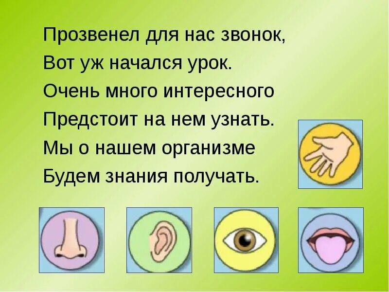 Условные знаки органов чувств. Знаки гигиены органов чувств. Условные знаки к правилам гигиены органов чувств. Условные знаки гигиены органов чувств. Органы чувств гигиена органов чувств 3 класс.