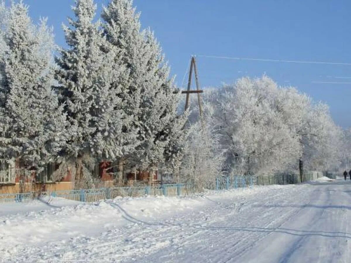 Село верх. Село кучук алтайский край. село кучук шелаболихинский район алтайский край. кучук родинского района алтайского края. нижний кучук алтайский край.