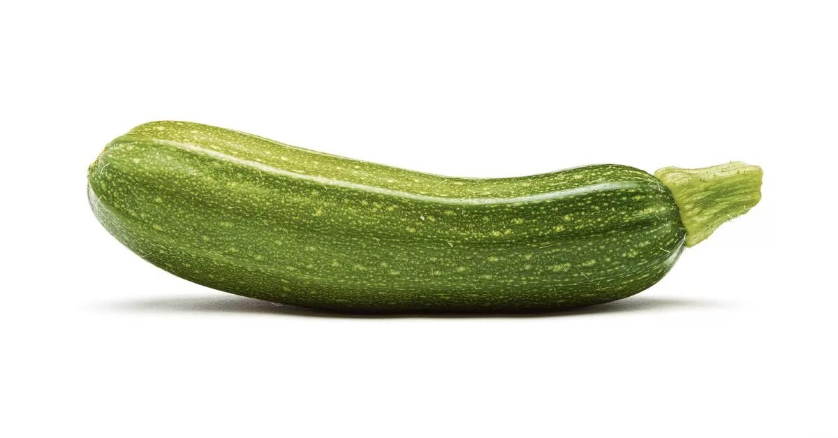 Картинка кабачок для детей на прозрачном фоне. Courgette zucchini marrow squash. Кабачок для детей. Кабачок на белом фоне. Кабачок на прозрачном фоне.