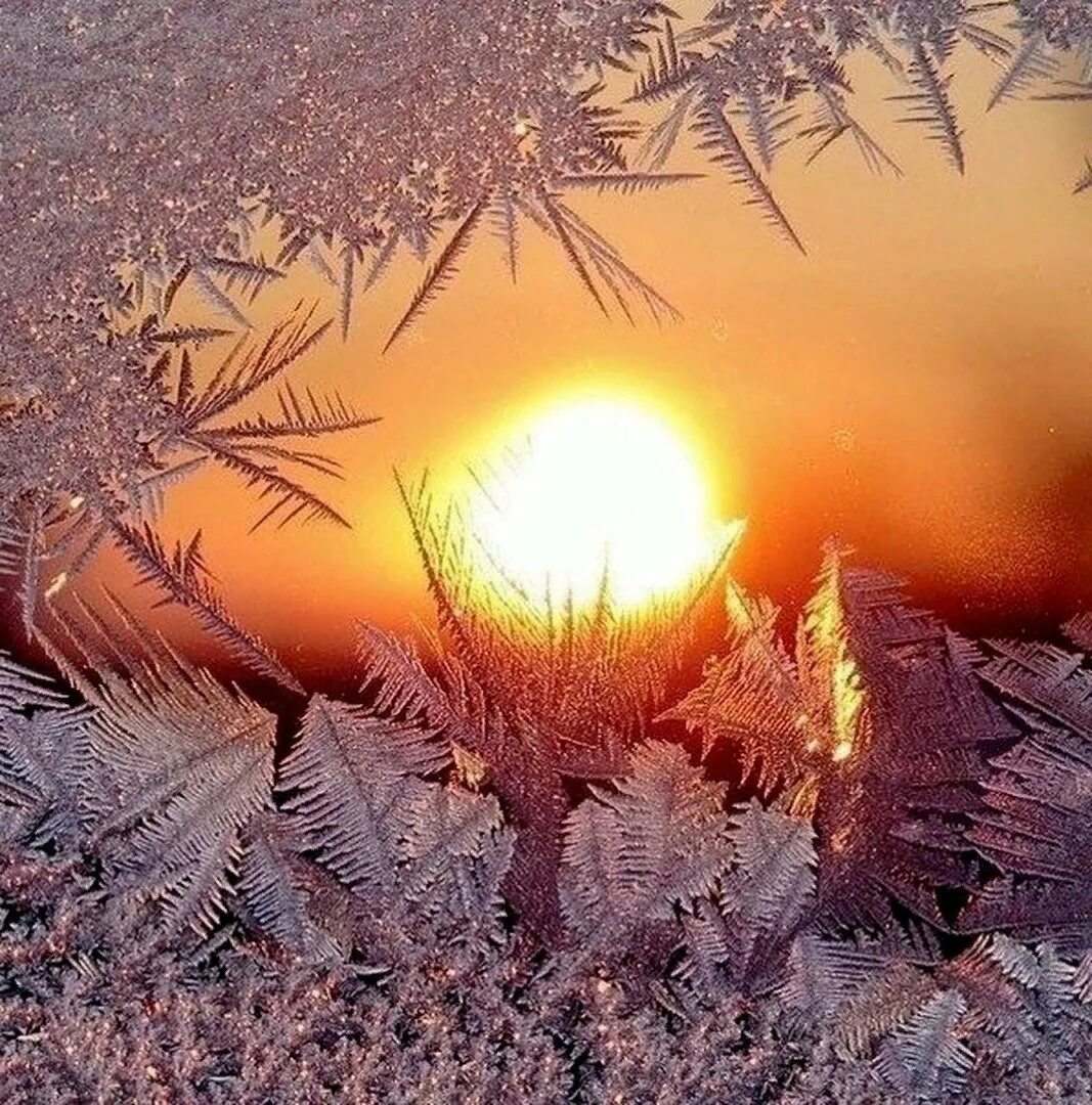 Буде тепло. Солнце зимой. Морозное солнечное утро. Солнце в морозный день. Снег и солнце.