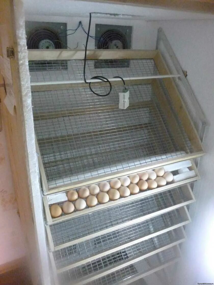 Делаем инкубатор своими руками в домашних условиях