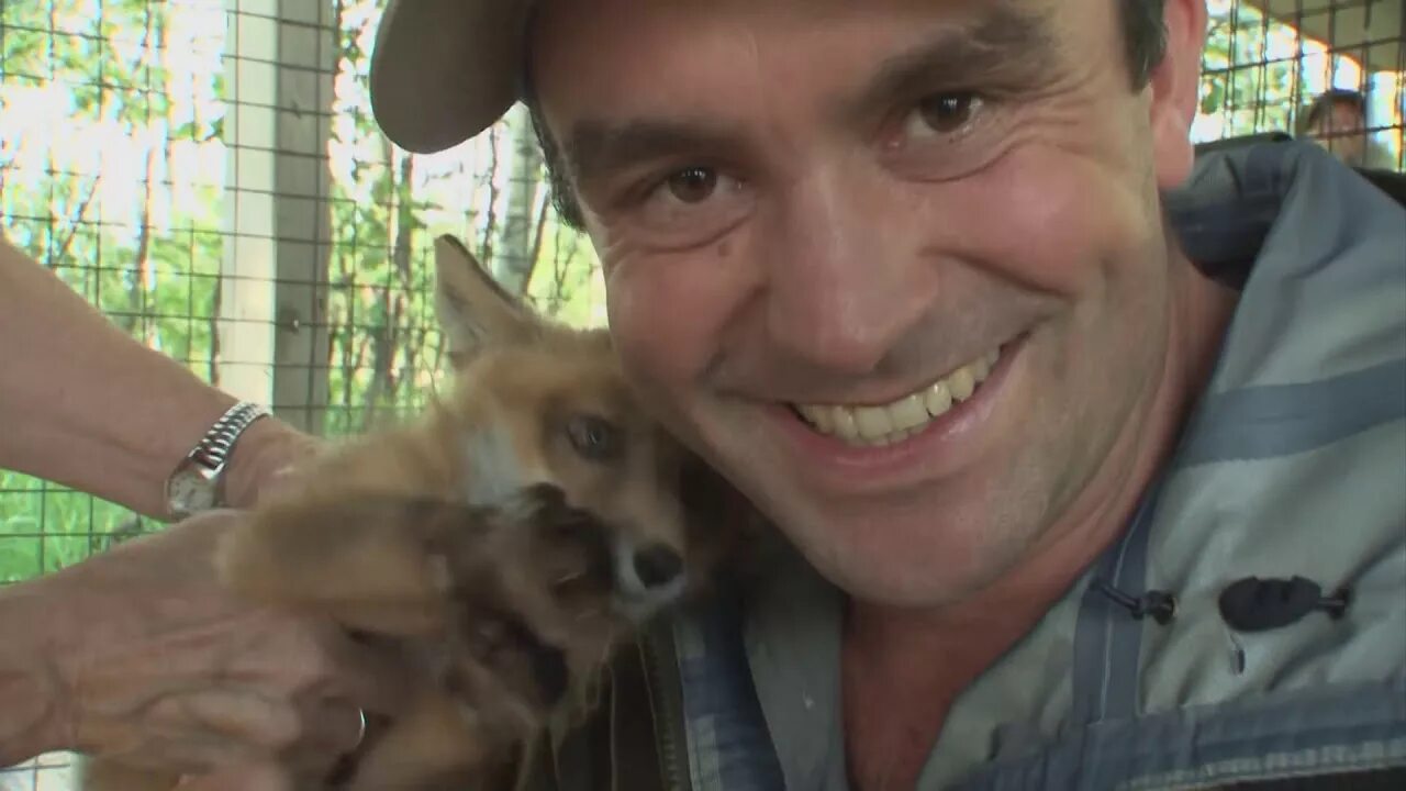 Светлана ходченкова сейчас. Видео авантюрист. Хабенский и ходченкова. Middle age man rich background. Светлана кожемякина актриса.