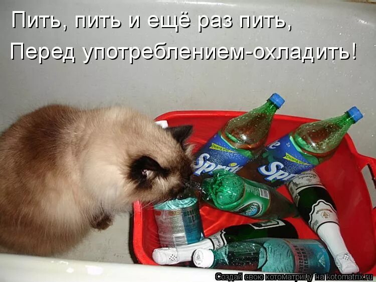 Когда последний раз пила. Раз попей. Выпить кофе. Смешные мемы про пиво. Открещивается мем.