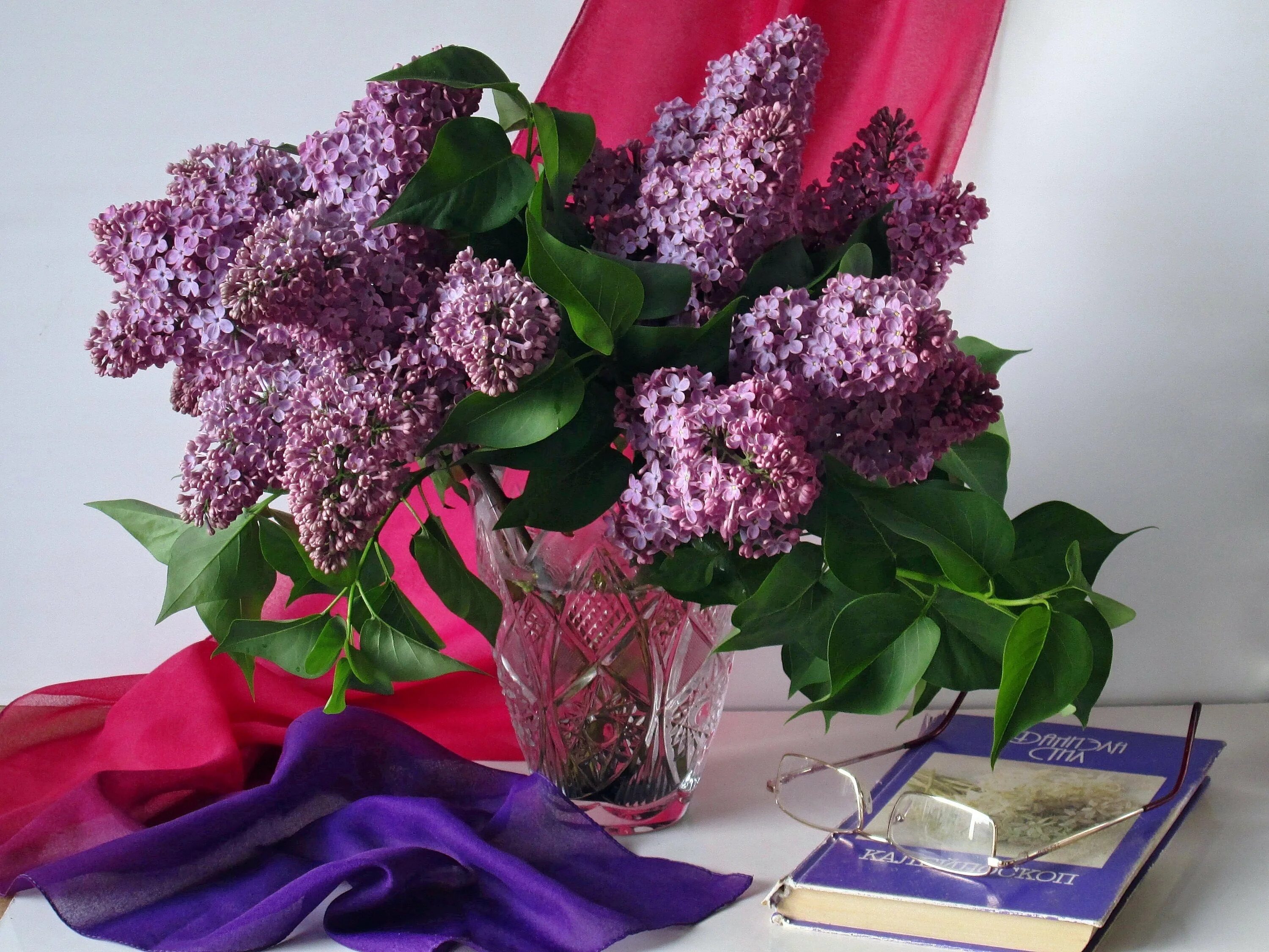 Сирень роберт хопфл. Сирень рахманинова. Букет сирени. Сирень оля. Левитан букет сирени.