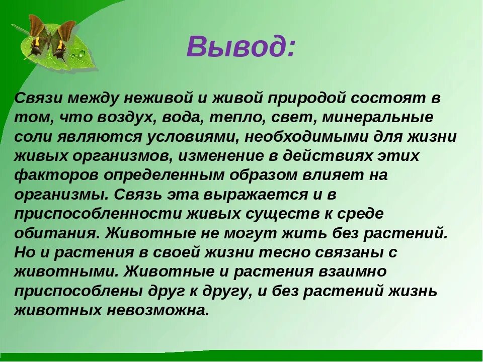 Вывод по живой природе. Влияет ли неживая природа на жизнь природного сообщества. Вывод о природе. Рассказ о живой природе.