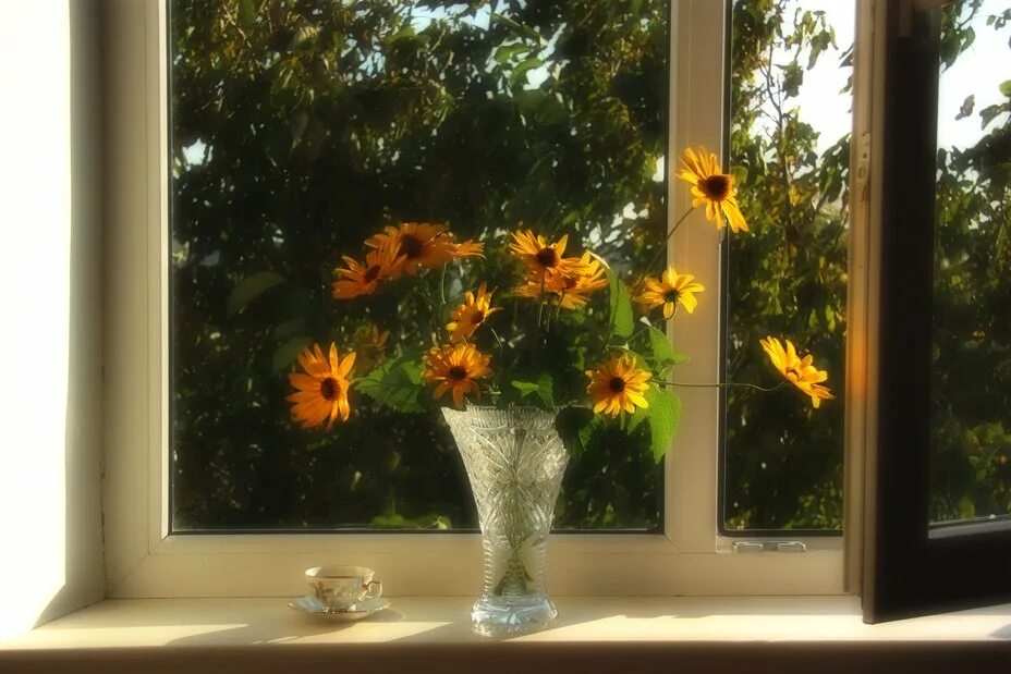 За окном светило солнышко. Солнце в окне. Солнечное окно. Окно с цветами. Открытое окно.
