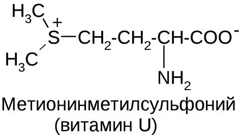 Витамин u