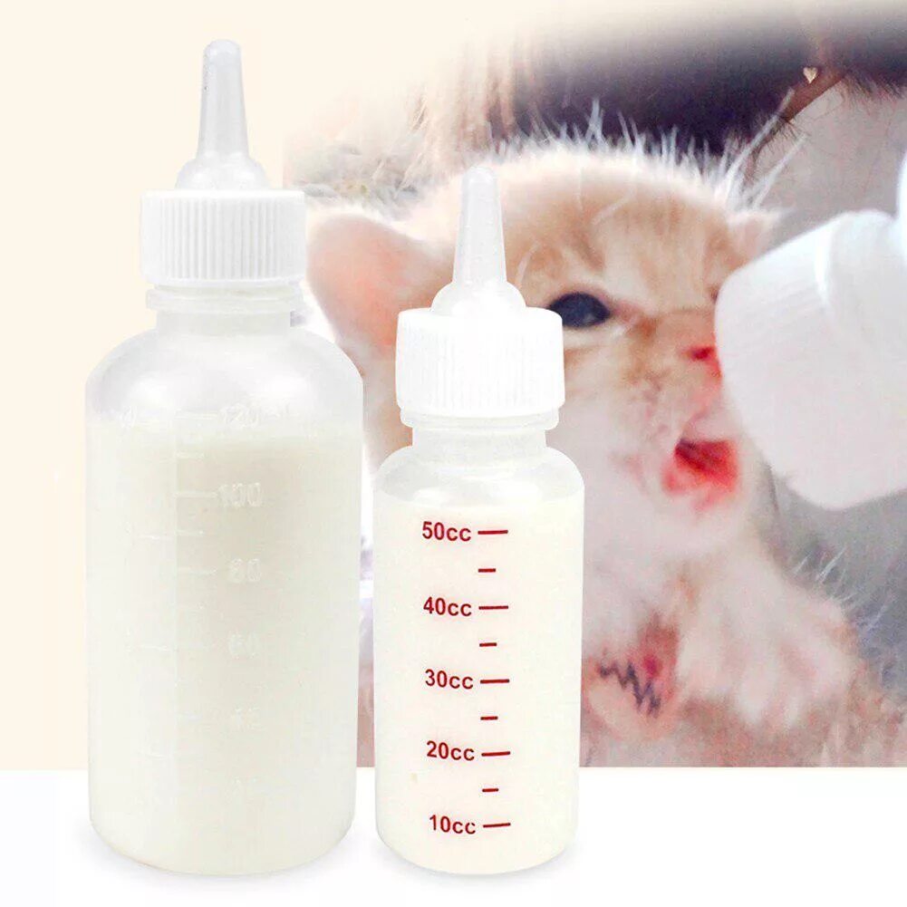 Можно котят кормить детской смесью для новорожденных. Бутылочка для котят. бутылка для вскармливания котят. бутылочка с соской для котят. бутылка для новорожденных котят.