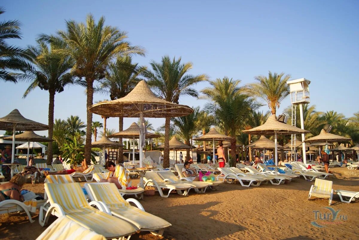 Seti sharm египет шарм эль шейх. Сети шарм резорт шарм-эль-шейх. dessole seti sharm resort 4 шарм-эль-шейх. дессоле сити шарм шармель шейх. дессоле сити шарм египет.