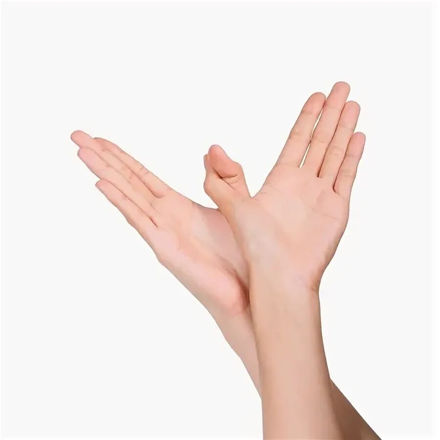 Руки показывают птицу. Бабочка сидит на руке. Жест бабочки. Жест бабочки. Макатон.