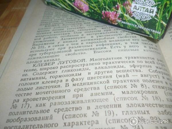 Рецепт настойки клевера. Настойка из клевера. отвар из клевера лугового. клевер луговой лекарство. настойка красного клевера инструкция по применению.