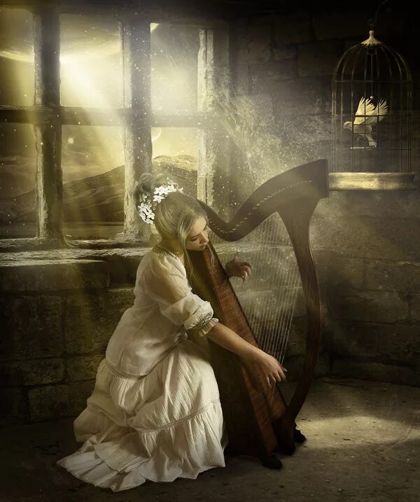 Девица в темнице. Девушка на чердаке. Девушка в темнице. Девушка в клетке. Загадка красная девица сидит в темнице.