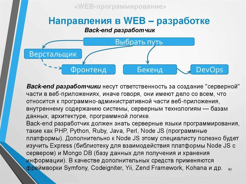 Программисты какие направления. Направления в программировании. направления программистов. какие направления есть в программировании. направления в программировании список.
