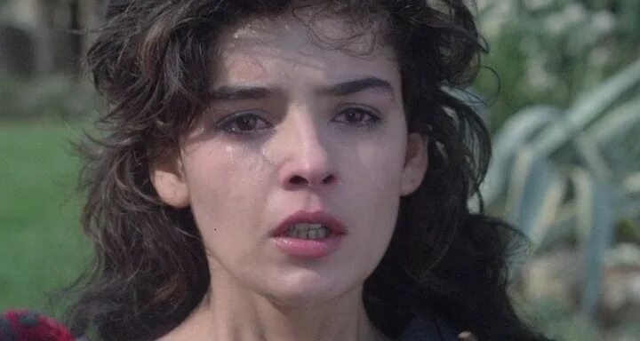 Devil's honey. Дьявольский мёд лючио фульчи. Стефано мадиа. Devil's honey. Devil's honey.