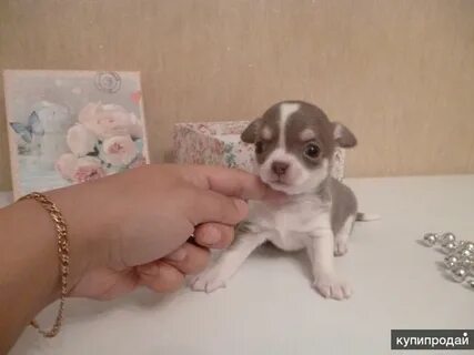 Мини киров