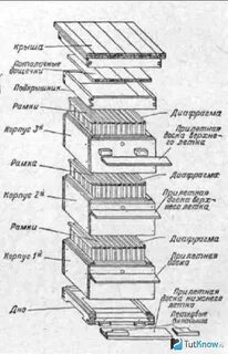 Основная деталь улья
