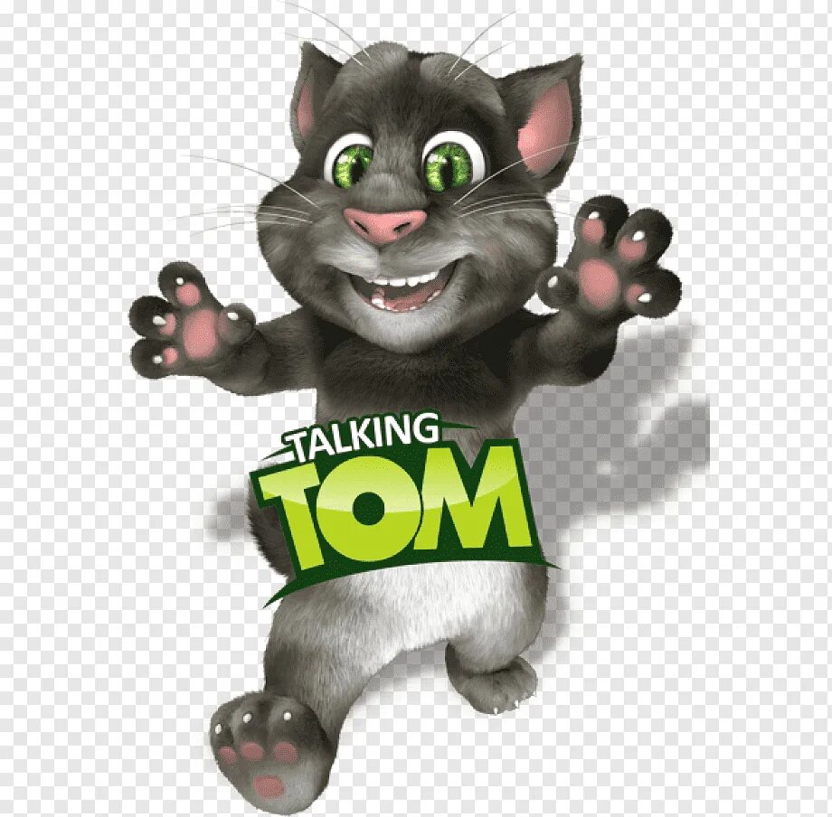 Игра talking Tom Cat (2010). Игра talking Tom Cat (2010) андроид. Talking Tom Cat 2010 APK. Кот том картинки. Что случилось с автором мой говорящий том