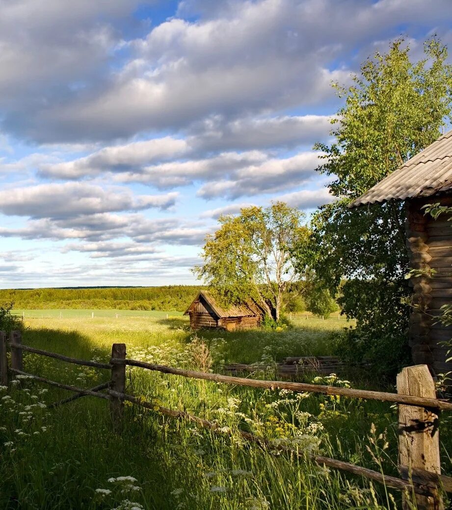 Русская деревня Околица. Природа деревня. Деревенский пейзаж. Красивые Деревенские пейзажи. Деревенька моя старая до земли поклонюсь