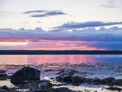 Розовое белое море