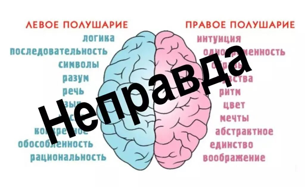 Какое полушария мозга работает. Левое и правое полушарие. полушария мозга. левое полушарие мозга. за что отвечает левое полушарие мозга.